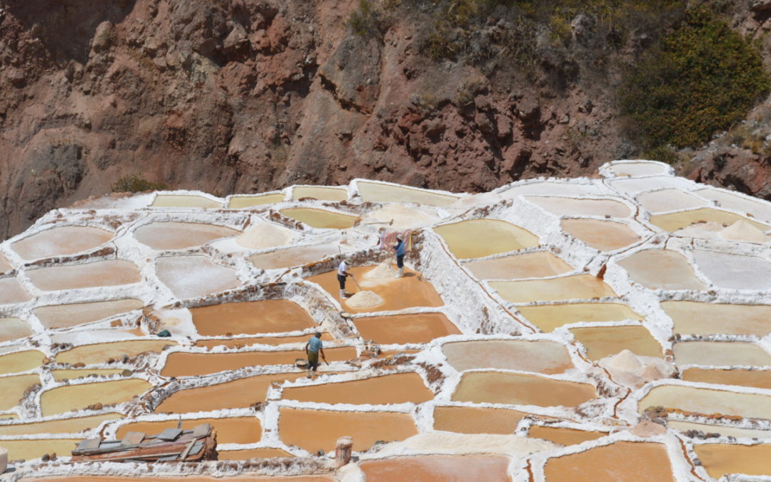 Dag vijf: Cuzco- tour Maras, Moray en Salineras